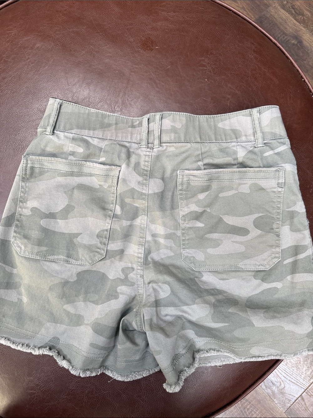 Democracy Light Sage Camo Cargo Shorts - Picture 3 of 3